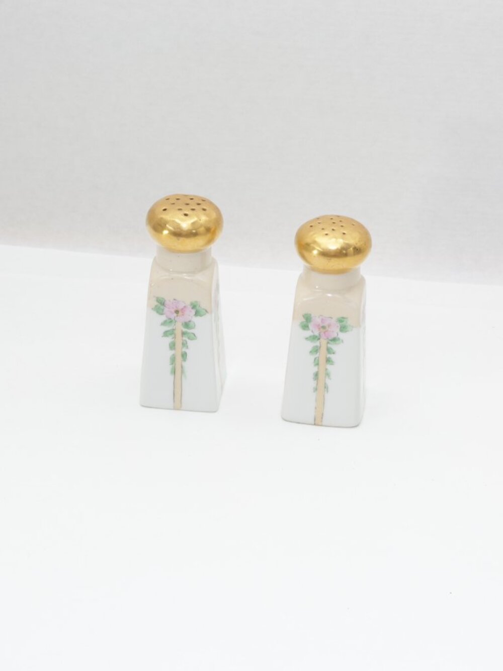 Hand Painted Bavarian Porcelain Salt and Pepperr ShakeSet Floral Design
